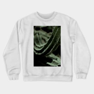 Kaktus 01 Crewneck Sweatshirt